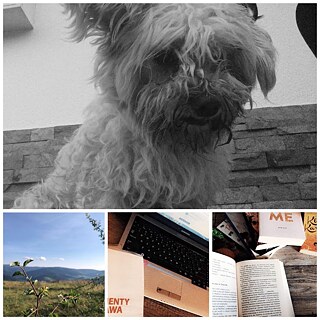 Hey! Während einer Pandemie verbringe ich viel Zeit vor einem Laptop. Ich versuche auch Bücher lesen und mit meinem Hund spazieren gehen.