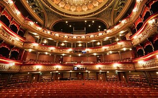 Ich mag Musik und ich möchte mit ihr arbeiten. Ich singe gern und bewundere klassische Sänger. Ich möchte klassische Musik singen. Ich möchte in Opern und Operetten spielen.