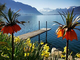 Ich möchte die Schweiz besuchen.⟵(o_O)     Die Schweiz ist eines der spektakulärsten Länder: Sie hat eine wunderbare Aussicht - die Alpen, die Seen, die Bewohner der Berge. Es ist einen Besuch wert, nur um die Aussicht auf die Natur zu bewundern.