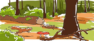 Illustration unberührter Wald