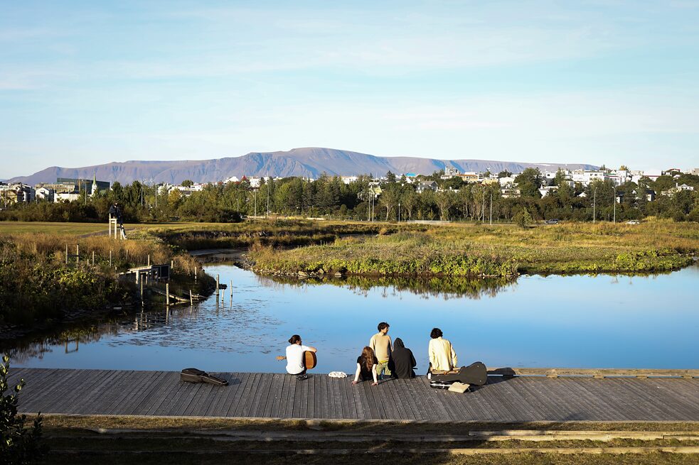 Evening scene at the Nordic House swamp