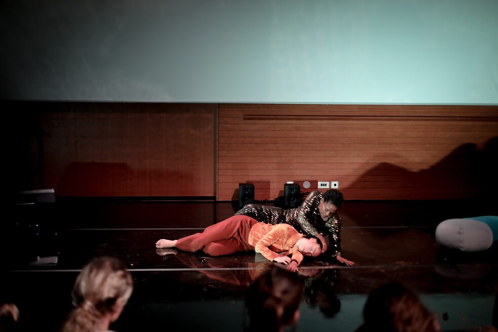 Performance at the Nordic House