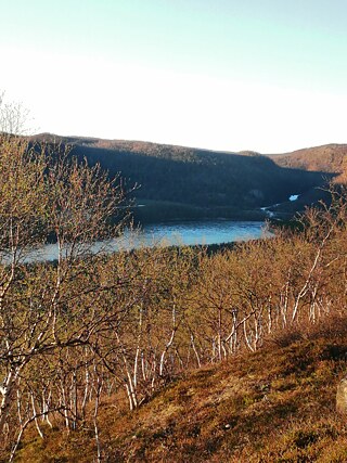 Der Fluss Deatnu, finnisch Tenojoki in Sapmi/Finnland 