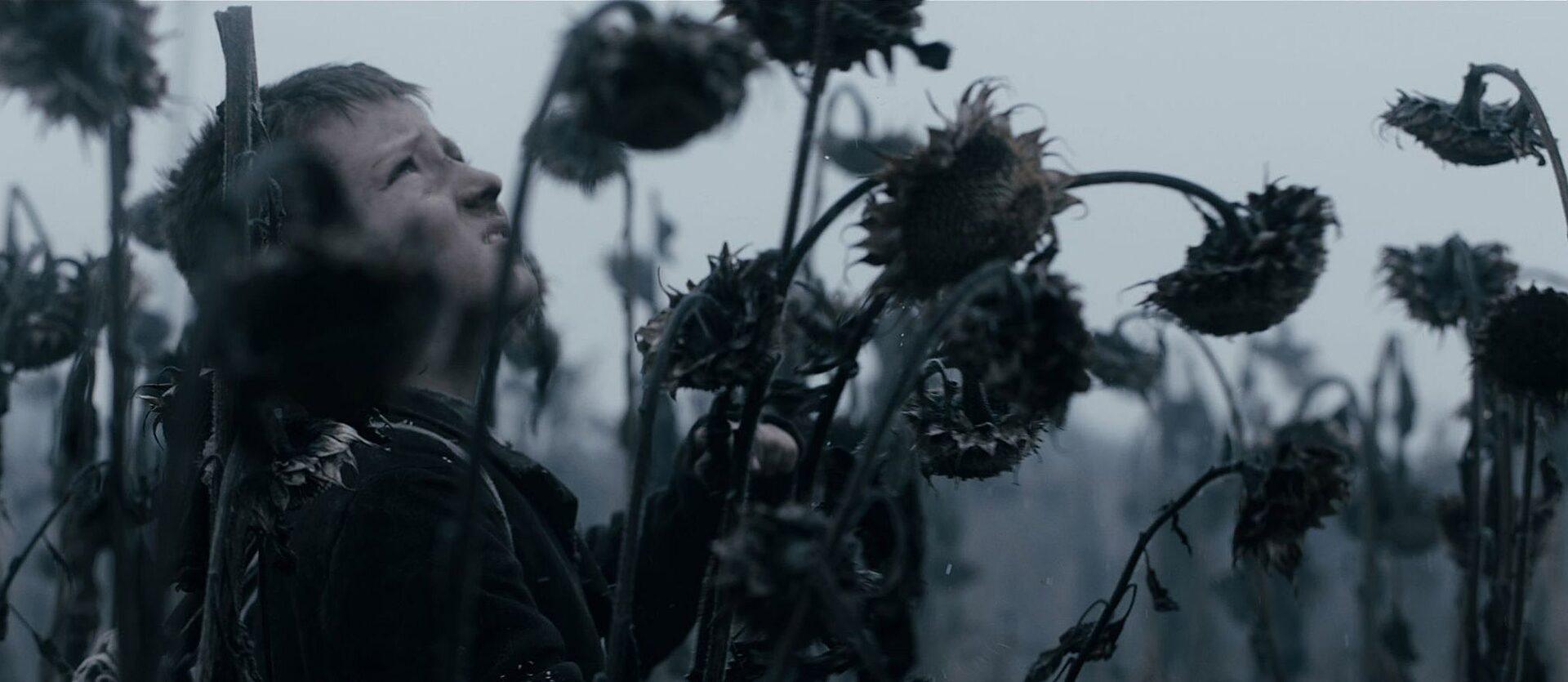 Festival Týden ukrajinského filmu GoetheInstitut Česko