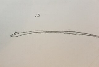 This is the snake that I was playing with in my imagination and was imagining it existing in the world.