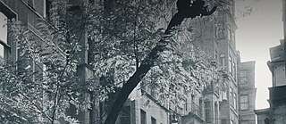 A black and white picture of a tree, detail, in front of a buliding