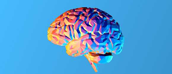 Neurodidaktik