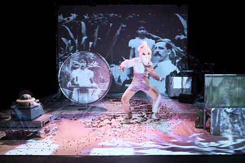 Bild 1 Copyright pablohassmann