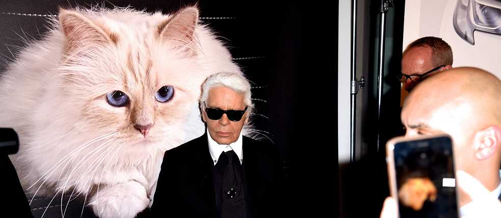 Choupette, la chatte des podiums
