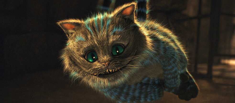 Chat Ricaneur