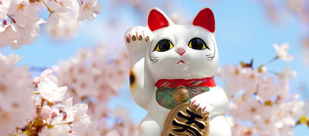 Maneki-neko 