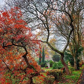 Нотатки з кладовищ_sq