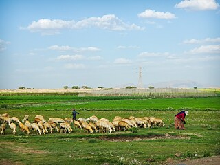 LETTERS FROM THE NOWHERE