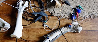 Terra Ignota – Sonic Islands | bone conduction test 