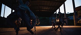 The last sunset BUZ 6817