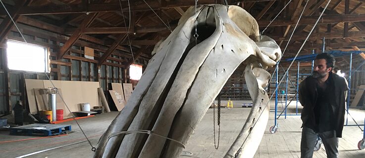 Terra Ignota – Sonic Islands | Museo Rio Seco Punta Arenas