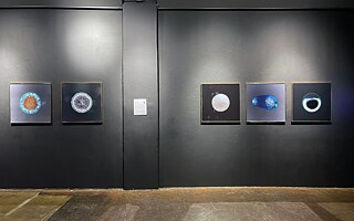 Sarah Schönfeld – All You Can Feel