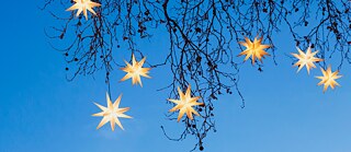 Sternenlichter, die in einem Baum hängen