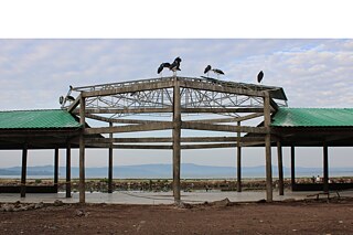 Children of the Great Rift