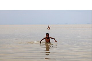 Children of the Great Rift