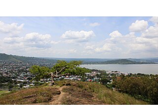 Children of the Great Rift