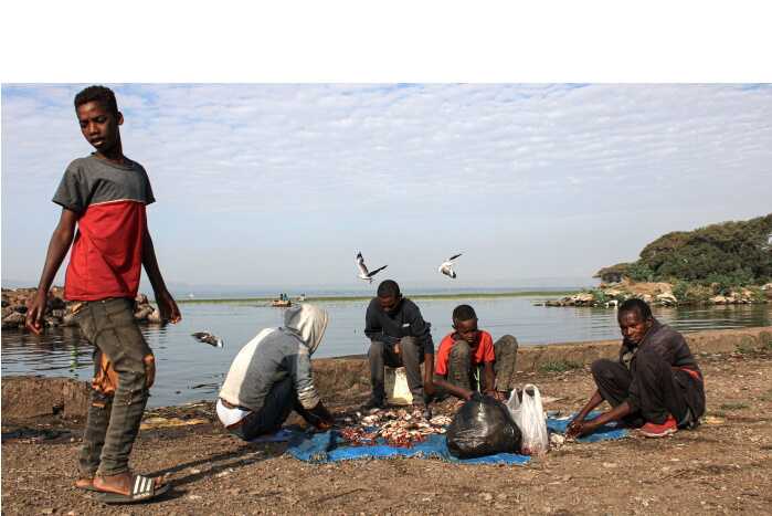 Children of the Great Rift