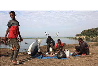 Children of the Great Rift