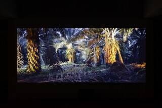 Critical Zones. In Search of a Common Ground