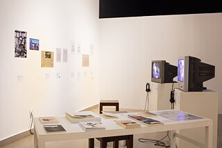 Critical Zones. In Search of a Common Ground