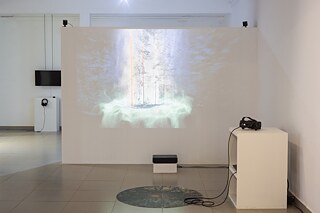 Critical Zones. In Search of a Common Ground