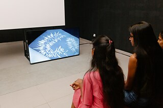 Critical Zones. In Search of a Common Ground