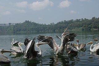 Fishermen at Babogaya