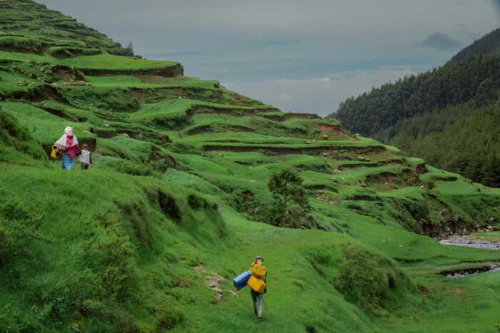 Remote Journey