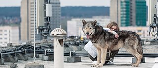 Wild &copy; © Heimatfilm Wild