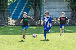 Finale 6:0 für Deutsch