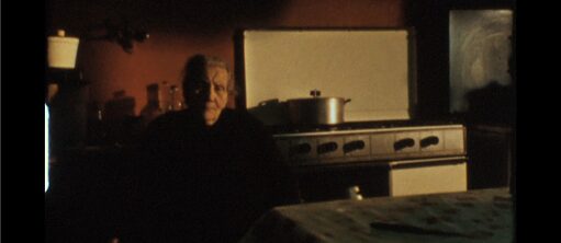 Não são favas, são feijocas, Tânia Dinis