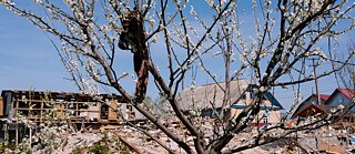 <i>Quando a primavera chegou a Bucha</i> de  Mila Teshaieva & Marcus Lenz