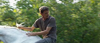 Western, dir. Valeska Griesebach | Still: Meinhard Neumann (Horse)