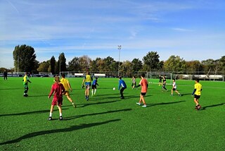 Training