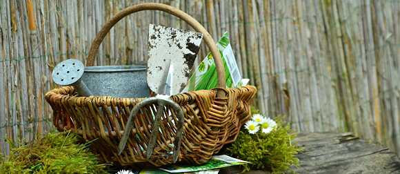 Garten