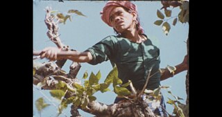 Sudesha-Yugantar &copy; © Yugantar Film Collective SUDESHA