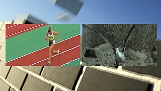 Not Gone With The Wind