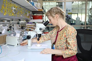 dust under microscope © © Line Krom looking at dust under the microscope_Line Krom