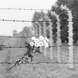 Gedenkstätte Auschwitz