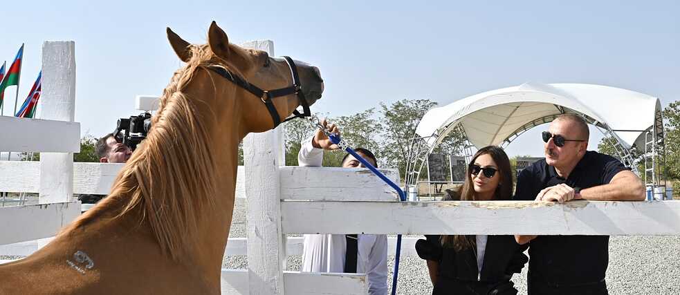 Azerbaijani President and Vice-President attending the Aghdam horse breeding center