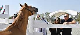 karabakh-horse-and-azerbaijani-president-and-vice-presidented.jpg