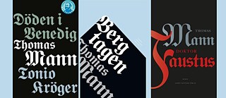 Bokomslag Thomas Mann