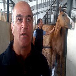 Shamsaddin Atayev, a horse breeder