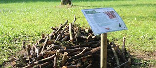 Totholzhaufen mit Erklärtafel im Garten des Goethe-Instituts in Nancy