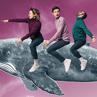 ok.danke.tschüss DEINE BAND © DW